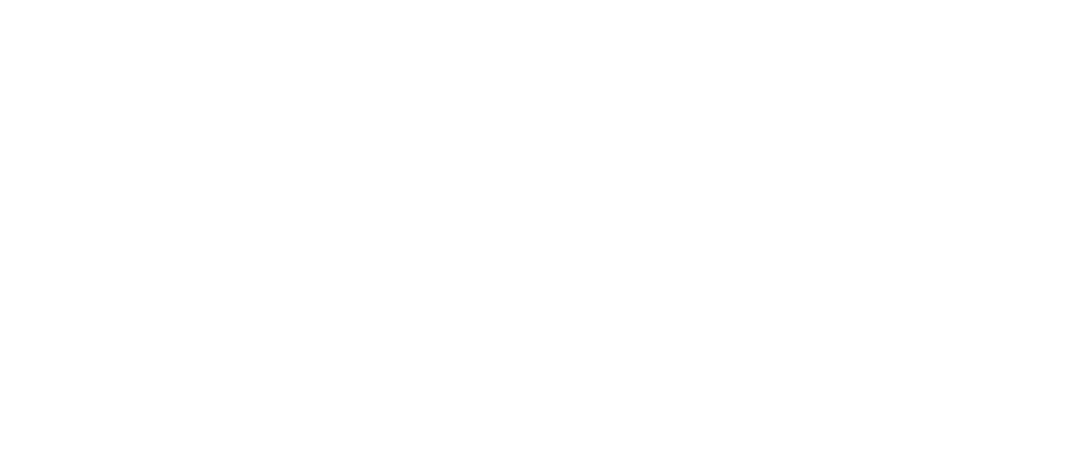 Logo Hotel Newton